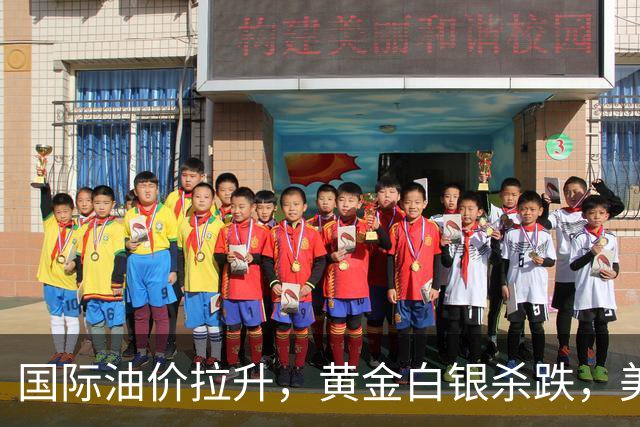 国际油价拉升，黄金白银杀跌，美股芯片龙头重挫，美联储前副主席称12月或加息50基点